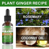 Rosemary Essential Oil Hair For Growth Organic Hair & Scalp Hair Strengthening Oil For Nourish Shiny Hair Healthy